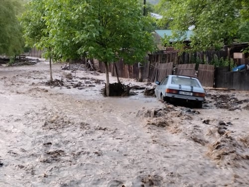 ძლიერი წვიმა ატენის ხეობაში - უხვი ნალექის გამო, მდინარე ადიდდა და სოფელში გადმოვიდა